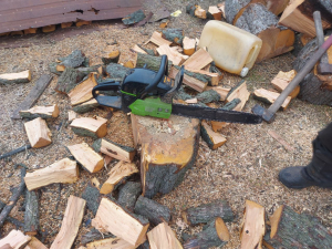 Незаконна вирубка дерев - у Запорізькому районі спіймали порушника (фото)