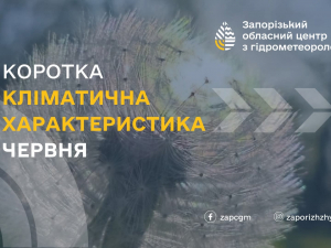 Тепліше та сухіше, ніж зазвичай - синоптики спрогнозували, якою буде погода в Запоріжжі у червні 