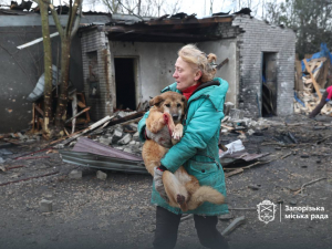 Внаслідок атаки БпЛА був зруйнований притулок «Дай лапу, друже» - волонтери просять про допомогу (фото)