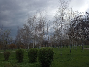 Яка погода буде у Запоріжжі наприкінці робочого тижня - Гідрометцентр попереджує