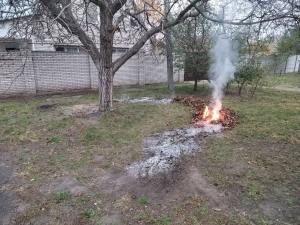 Запоріжці скаржаться на незаконне спалювання листя – де найбільше порушників