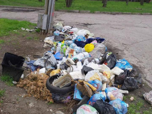 У Запоріжжі на місці прибраного звалища знову викинули сміття - фото