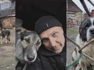 Волонтери рятують тварин у прифронтових селах Запорізької області - зимова допомога кормом критично важлива