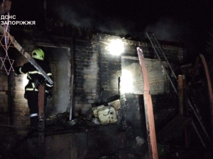 З дачі у лікарню - під час пожежі у садовому товариства в Запорізькому районі постраждала людина (фото)