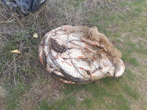 Завдали збитків і отримали протокол - у Запоріжжі рибалки перевищили дозволений улов у кілька разів (фото)