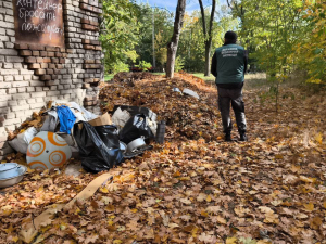  Перетворили двір у звалище - у Запоріжжі екологи виявили стихійний смітник (фото)