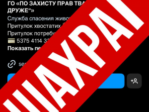 Відома запорізька зоозахисниця заявила про шахраїв, які збирають гроші від імені її притулку для тварин