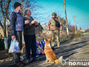 Під постійними обстрілами: подружжя з Оріхова піклується про понад півсотні покинутих тварин - фото, відео