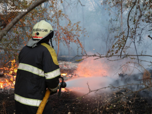 Вогонь на Хортиці - рятувальники вже другу добу борються з наслідками масштабної пожежі (фото)
