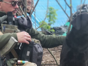 На передовій в Запорізькій області командир воює разом зі своєю собакою: подробиці