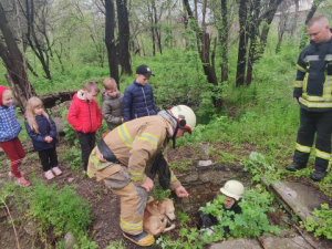 У промисловому районі Запоріжжя врятували песика, що впав у колодязь - фото