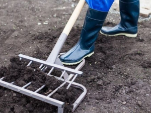 У Запорізькій області окупанти відправляють місцевих жителів на примусові роботи