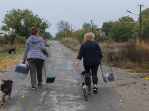 Евакуація тварин з прифронтових територій Запорізької області
