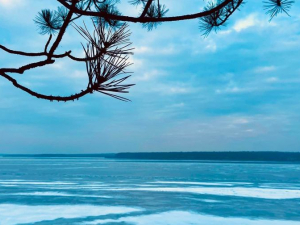 Запоріжанка показала дивовижно красиві фото зимового Великого Лугу