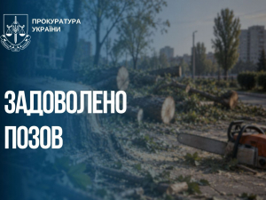 езаконно зрубали понад 1200 дерев - на Запоріжжі стягнули 5 млн грн збитків, фото: Запорізька обласна прокуратура