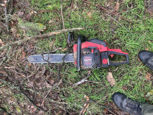 Екоінспекція викрила вирубку дерев — що знайшли під час рейду в Запорізькому районі (фото)