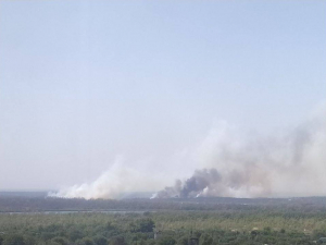 Полум’я охопило ліси – у Запорізькому районі вогнеборці гасять пожежу площею 50 гектарів (фото)