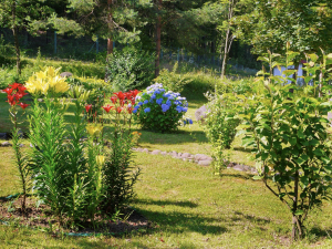 Які квіти треба садити у квітні - поради для красивого саду