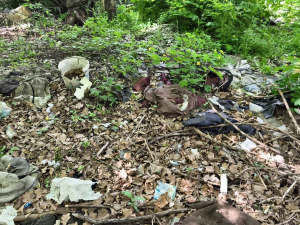 У Запоріжжі екоінспектори виявили чимале звалище різноманітного непотребу просто неба (фото)