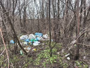 Незаконне сміття біля житлового будинку: екологи перевірили Дніпровський район