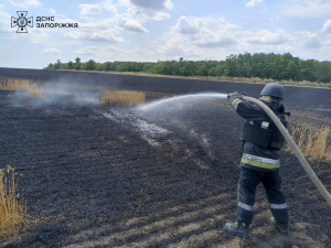 В селі Запорізького району сталась масштабна пожежа - фото