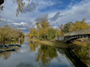 По-весняному тепло в листопаді: синоптики розповіли, якою буде погода у Запоріжжі на початку тижня