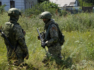Моторошний бізнес - на окупованих територіях Запорізької області зникають домашні тварини