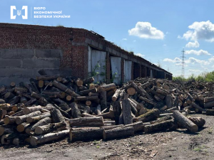 Переплатили п'ять мільйонів - запорізькі посадовці купували дрова для ЗСУ за завищеними цінами