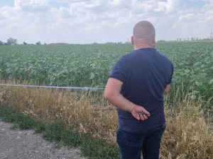 Захопили землю - заповідну територію у Запорізькому районі перетворили на сільгоспугіддя (фото)