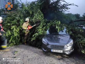 Повалені дерева та розбиті авто: які наслідки негоди у Запоріжжі (фото)