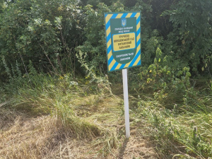 Луки під загрозою - в заповідній зоні під Запоріжжям влаштували незаконну заготівлю сіна (фото)