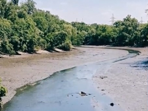 В районі запорізького центрального парку обміліла річка - фото, відео