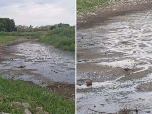 Озеро зникло – у парку Перемоги в Запоріжжі водойма повністю пересохла (відео)