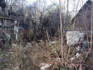 Не став миритися зі звалищем - у Запоріжжі чоловік поскаржився на безлад екологам (фото)