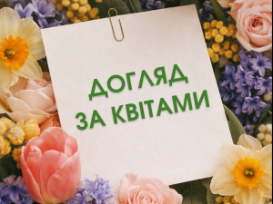 Букет, який довго не в’яне: секрети догляду за популярними квітами