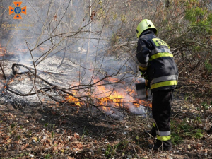 Горіли трава та очерет - у запорізькій балці вирувала масштабна пожежа (відео)