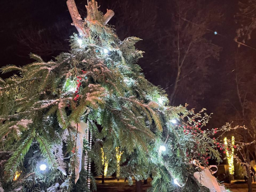 Морози, сніг і ожеледиця - якою буде погода в Запоріжжі в останні вихідні грудня