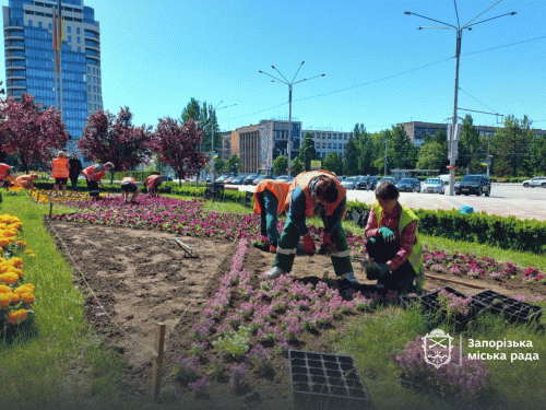 Тисячі квітів прикрасять Майдан Героїв: на одній з головних клумб Запоріжжя з'являться живі орнаменти (фото, відео)