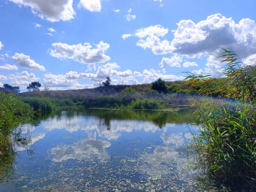Селище Сонячне під Запоріжжям. Фото: Антоніна Фролова