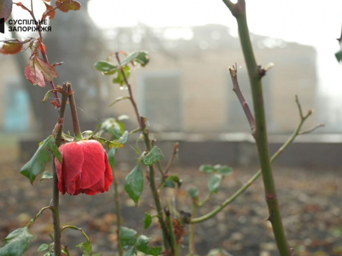 Виїхало понад тисячу мешканців - як виглядає селище у Запорізькому районі, що за 12 км від фронту