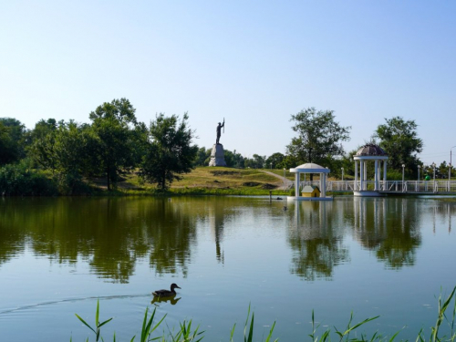 У найвідвідуванішому місці Запоріжжя висадили молоді дуби - акція об’єднала ветеранів, молодь та поліцію (фото)