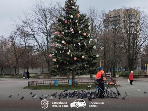 Вандалізм у парку - невідомі вкрали іграшки з ялинки в Запоріжжі