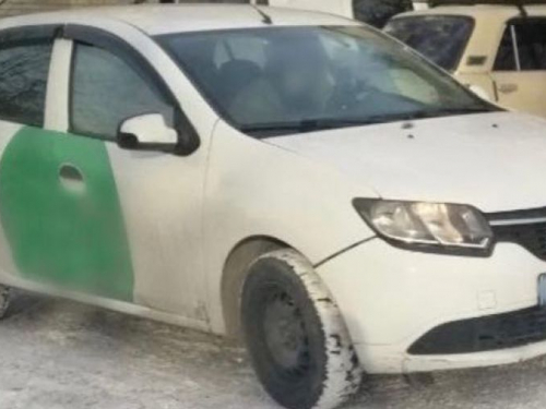 У Запоріжжі водій збив собаку та втік з місця ДТП - фото