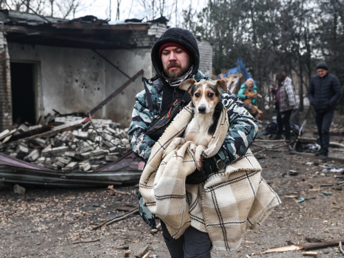 "Тварини не заслуговують бути вбитим" - ситуація у запорізькому притулку для тварин, зруйнованому ворожим дроном
