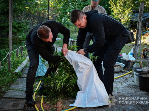Понад 2 кг канабісу та «бізнес» на замісній терапії: у Запоріжжі затримали двох чоловіків