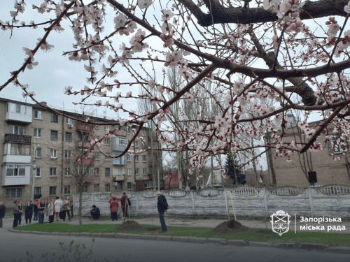 Живий символ пам'яті: в Запоріжжі висадили іменні липи для «азовців» (фото, відео)