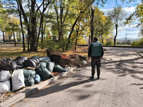 Гори сміття серед багатоповерхівок - у Запоріжжі виявили чергове стихійне звалище