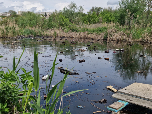 У Запоріжжі річку перетворили на суцільний жах - вкрита товстим шаром нафтопродуктів (фото, відео)