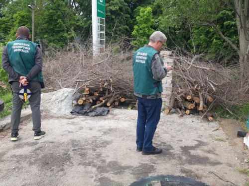 Знищили дерева, аби прибрати паркан – у Запоріжжі оштрафували підприємство