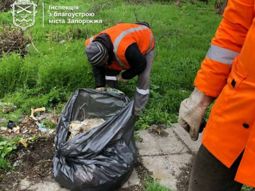 Інспектори змусили попрацювати - в одному з районів Запоріжжя залізничники прибрали стихійне сміттєзвалище (фото)